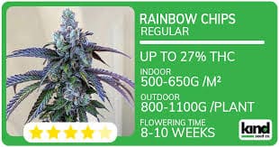 Understanding Marijuana Seeds in New Mexico A Complete Guide